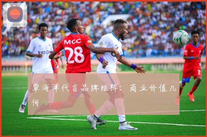 覃海洋代言品牌矩阵：商业价值几何