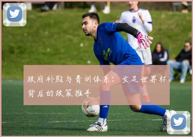 政府补贴与青训体系：女足世界杯背后的政策推手