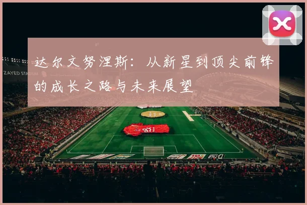 达尔文努涅斯：从新星到顶尖前锋的成长之路与未来展望