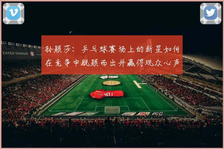 孙颖莎：乒乓球赛场上的新星如何在竞争中脱颖而出并赢得观众心声