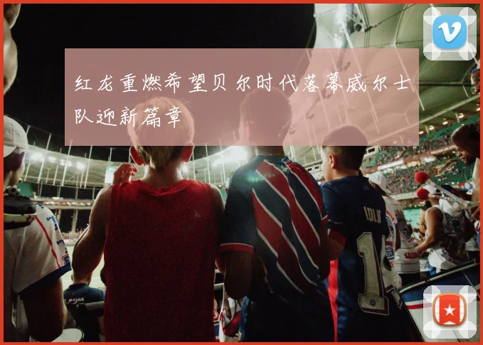 红龙重燃希望贝尔时代落幕威尔士队迎新篇章