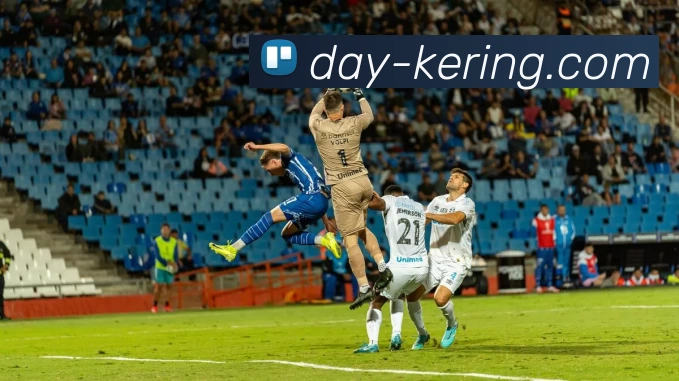 开云官网平台生态图