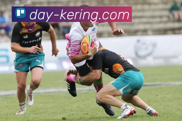 开云官网APP 封面图