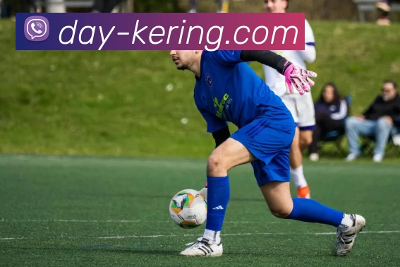 开云官网全站App